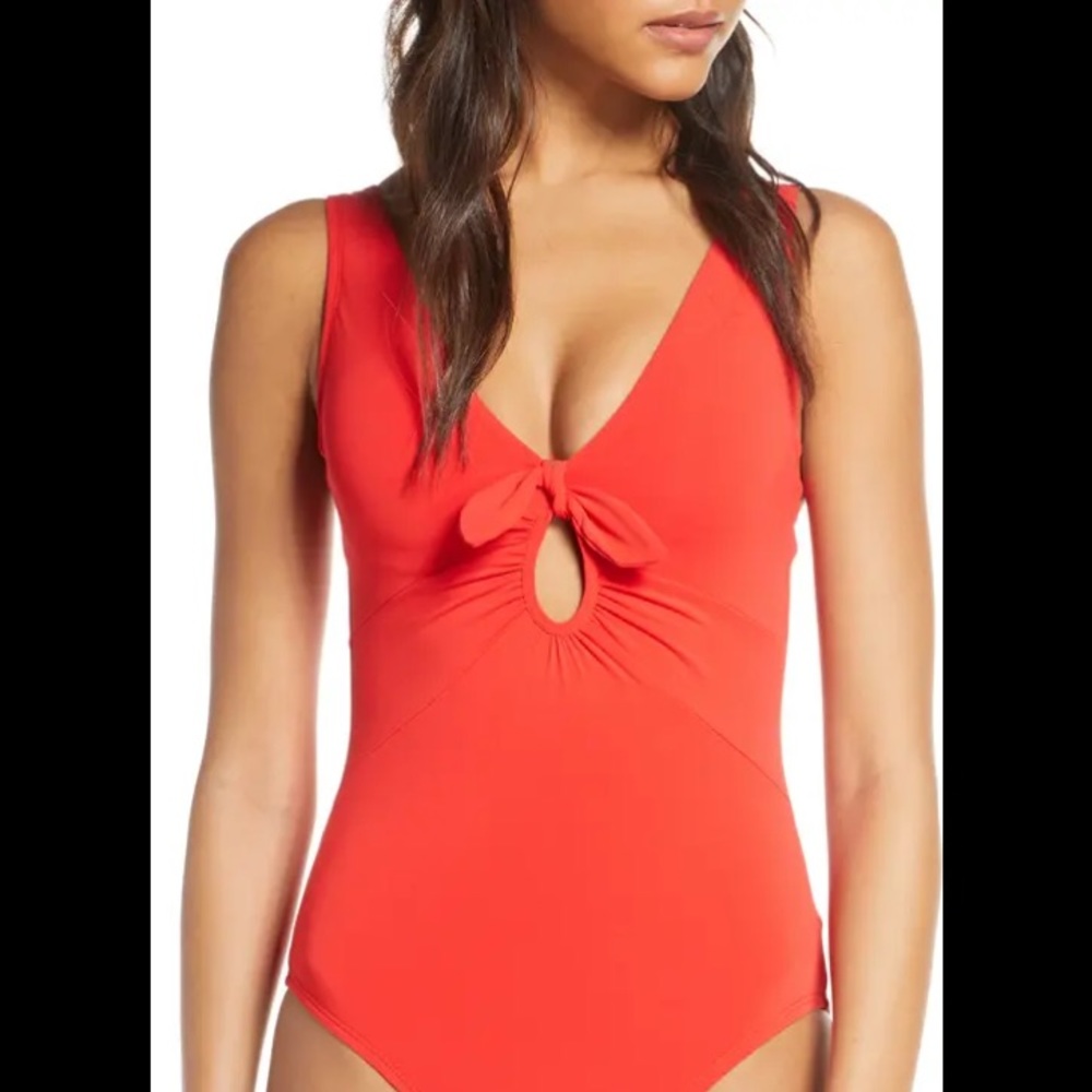 Ava Plunge Underwire One-Piece Swimsuit